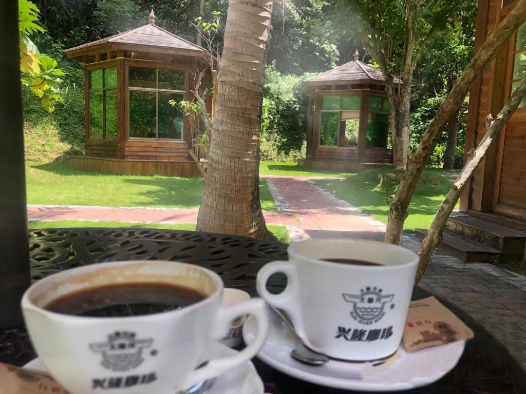 海南老咖友们最爱的太阳河牌兴隆咖啡喝法解锁