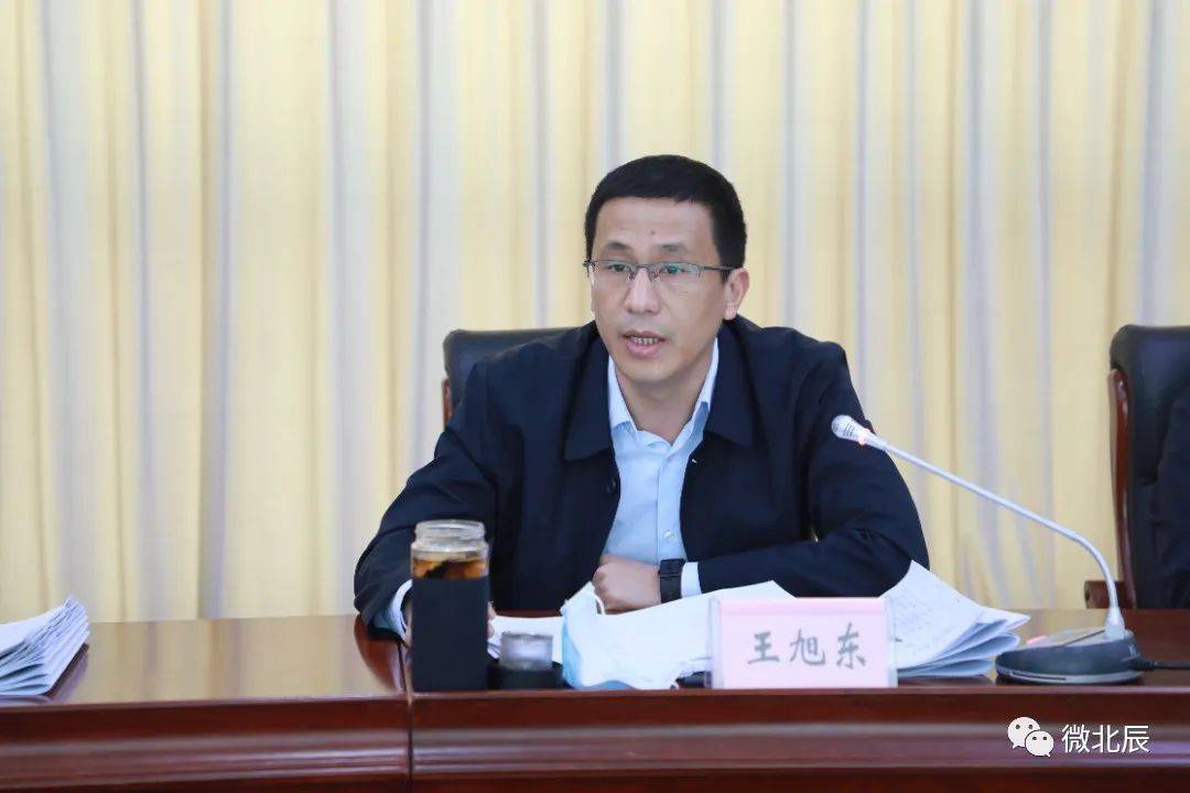 区委副书记王旭东,区委常委,区委组织部部长周红蕾,副区长张