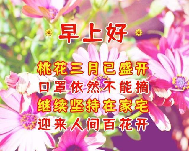 早上好春天图片 桃花图片