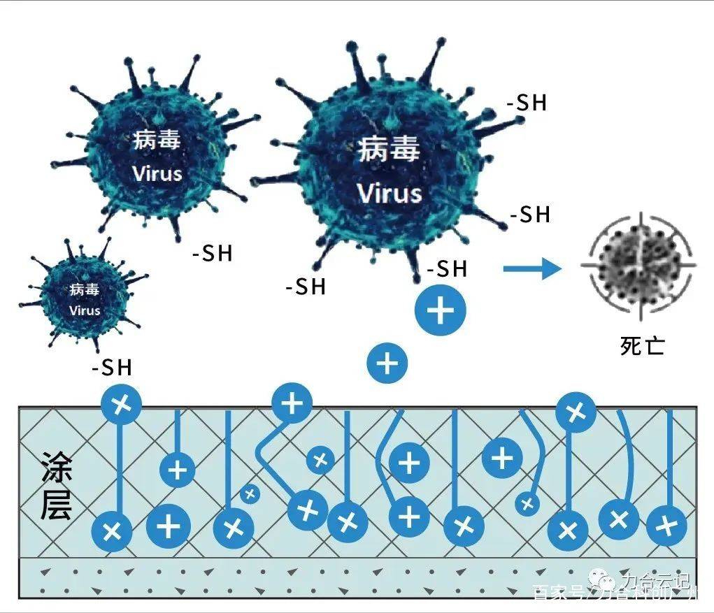 企业分享丨力合云记自消杀抗病毒功能材料首创者