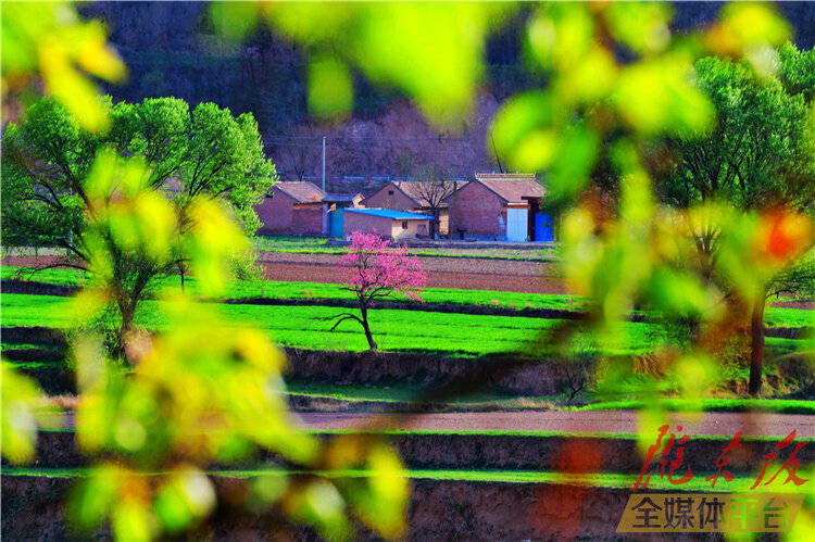 田野里春天的景象图片