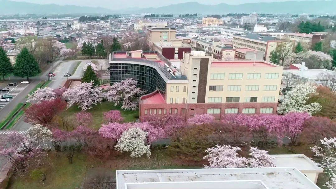 直播回放日本高中生最想去的大学国立大学篇