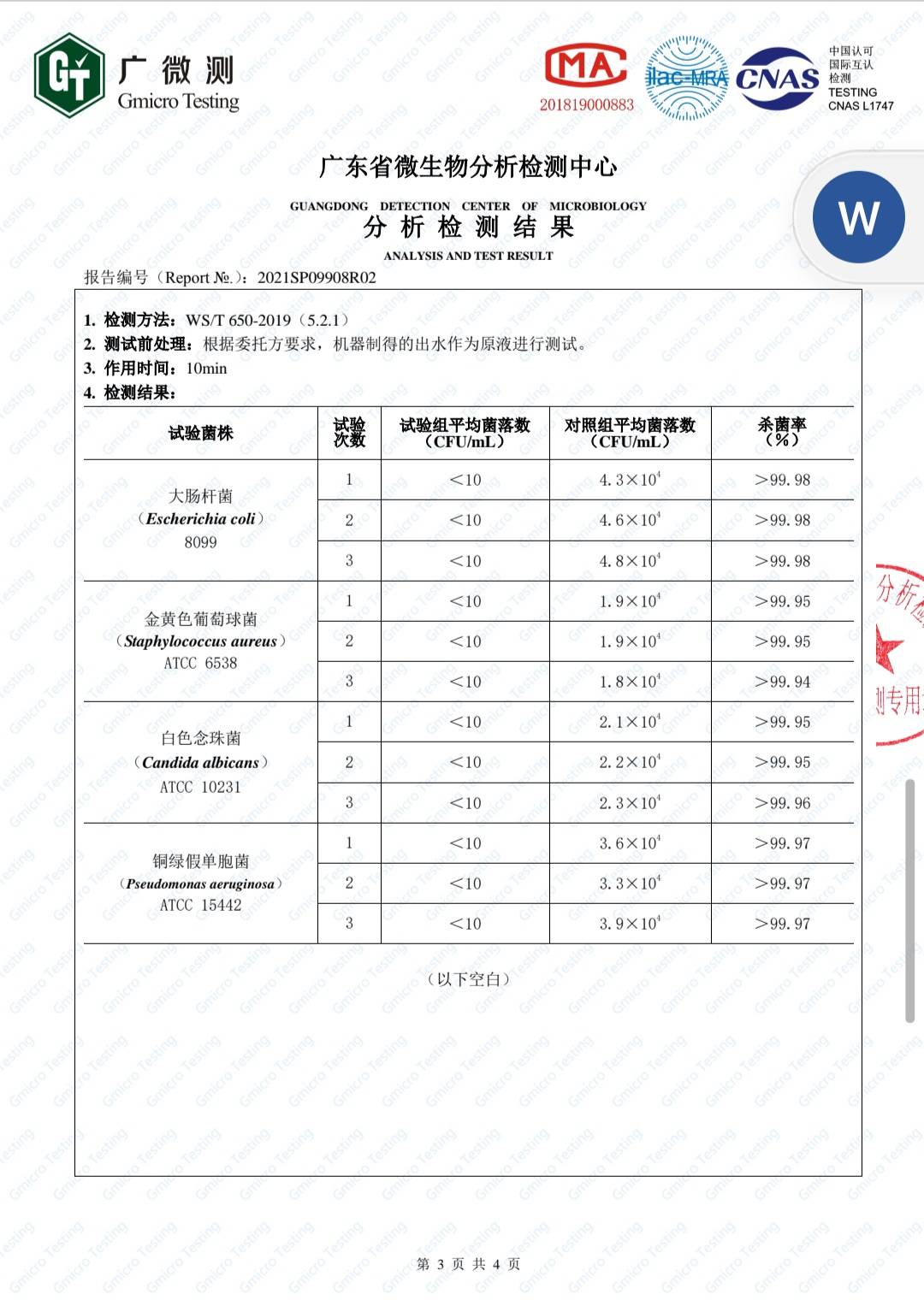 微生物检验报告单图片