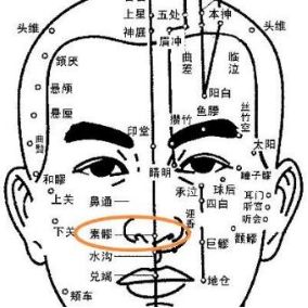 鼻诊图解大全清晰图图片