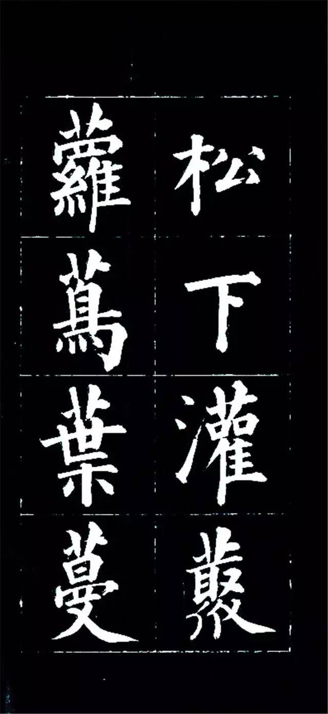 修柯戛雲,低枝拂潭,如幢豎,如蓋張,如龍蛇走.松