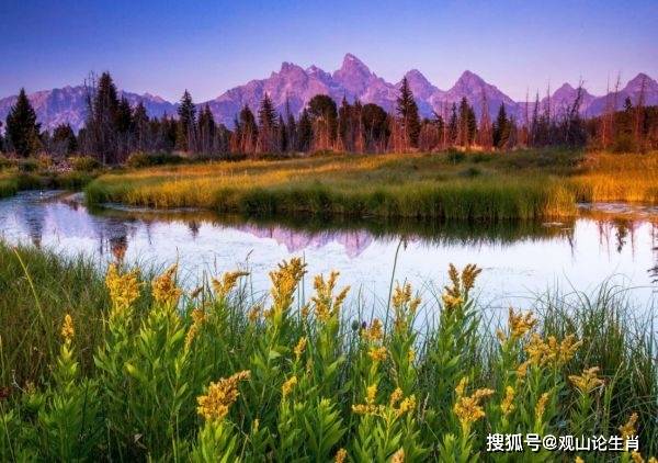 4月18号起好运爆发,事业更加顺遂,达成目标,聚财满贯的四大生肖_属狗