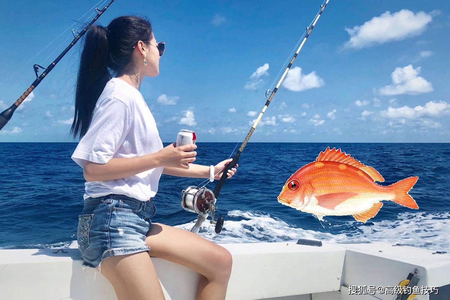海钓鱼饵中添加什么物质 能够提高鱼饵的诱食效果 海水鱼诱食剂 南极虾 鱼冷丁 海鱼