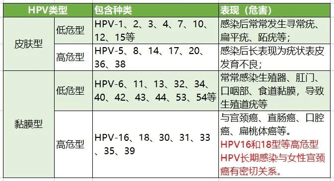 hpv活检报告单图片
