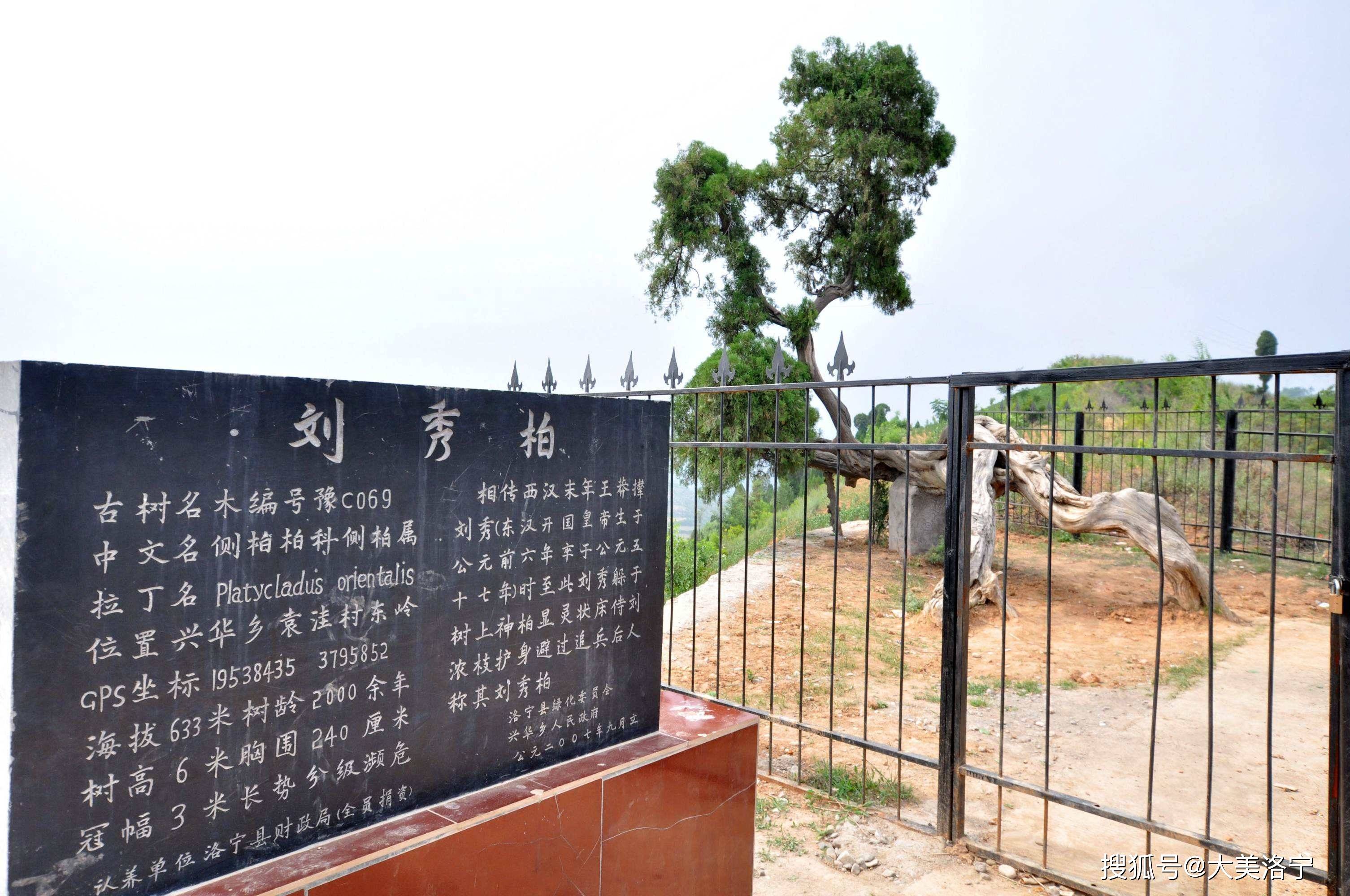 原创洛宁县兴华镇刘秀柏