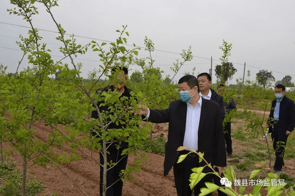 魏縣市場監管局領導