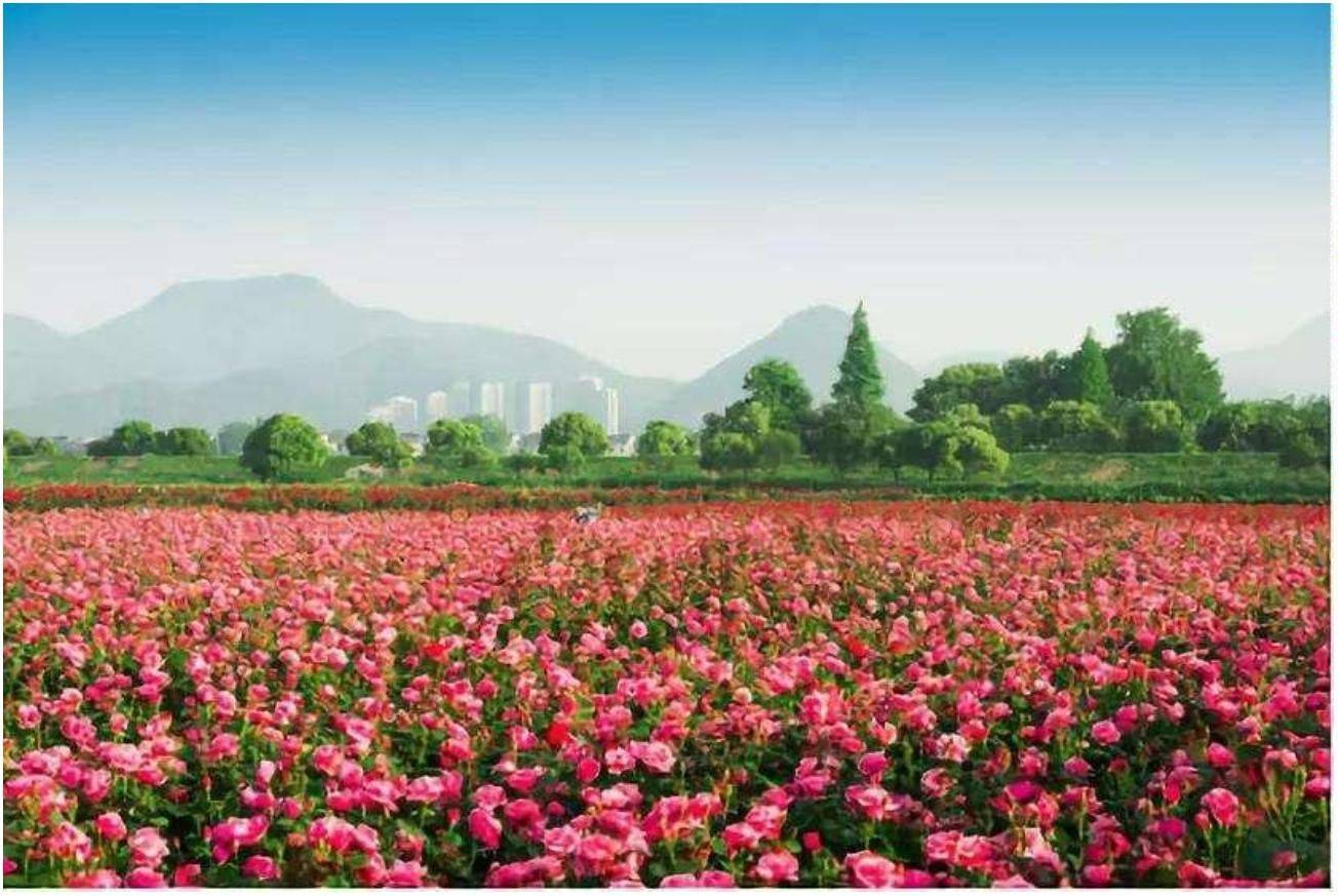 内江隆昌市旅游线路推荐青石寻踪主题一日游超多好玩