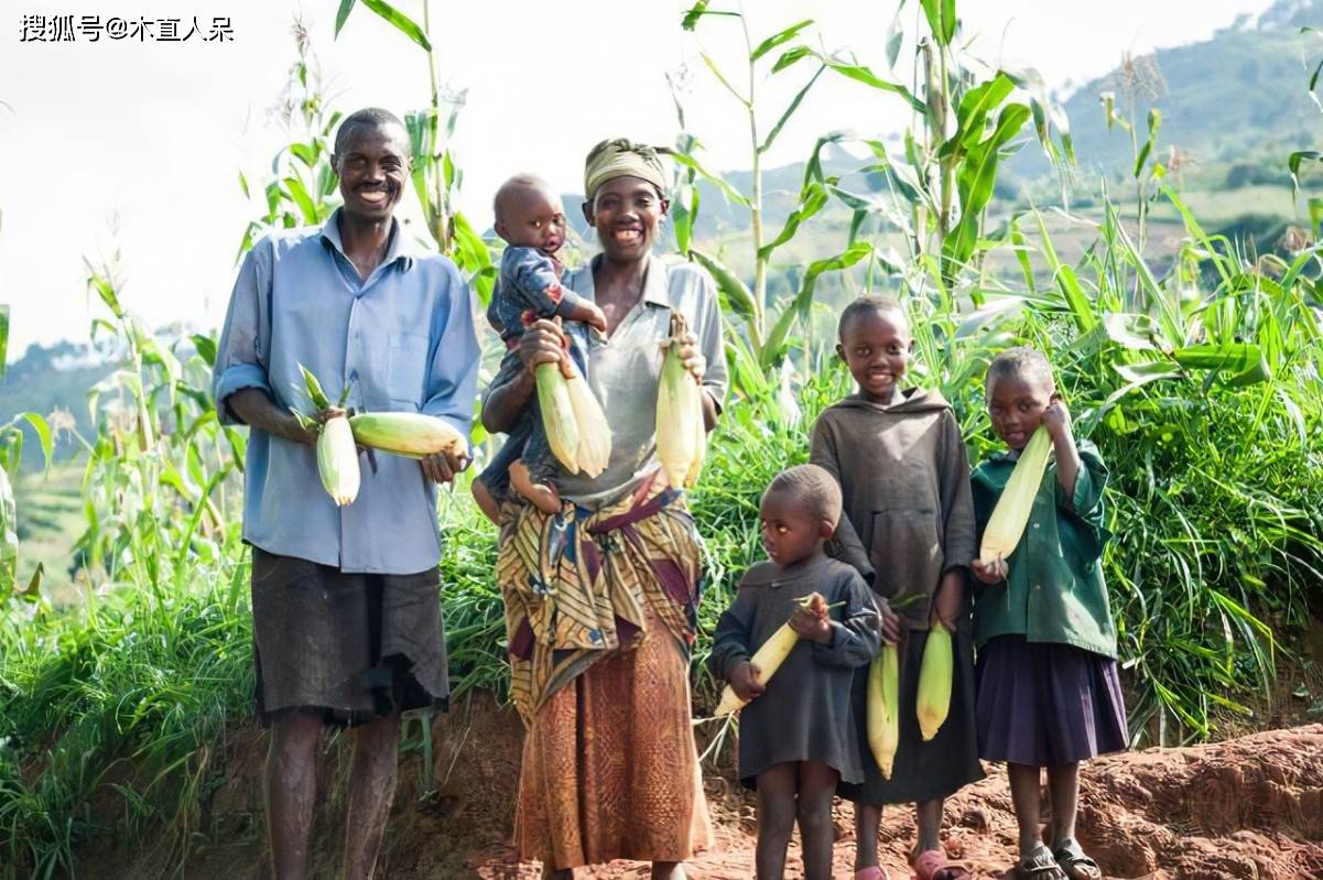 十年前,在认识到气候变化之前,heisey和edmeades(1999年)估计,在