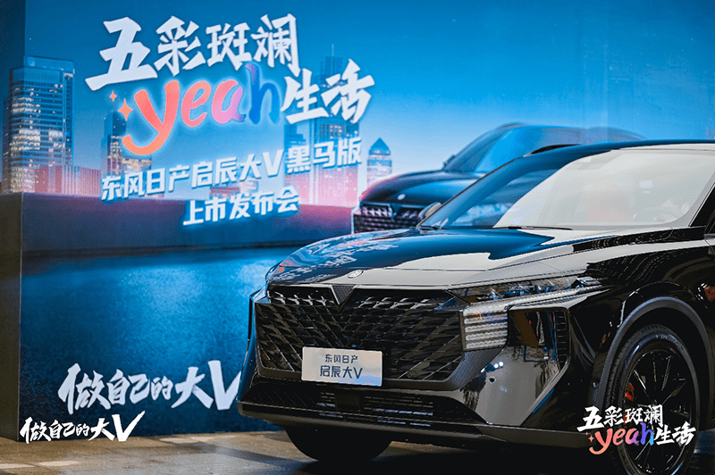 启辰大v销量 fdf3e865c5c34c75ad9207fa557cf087.png