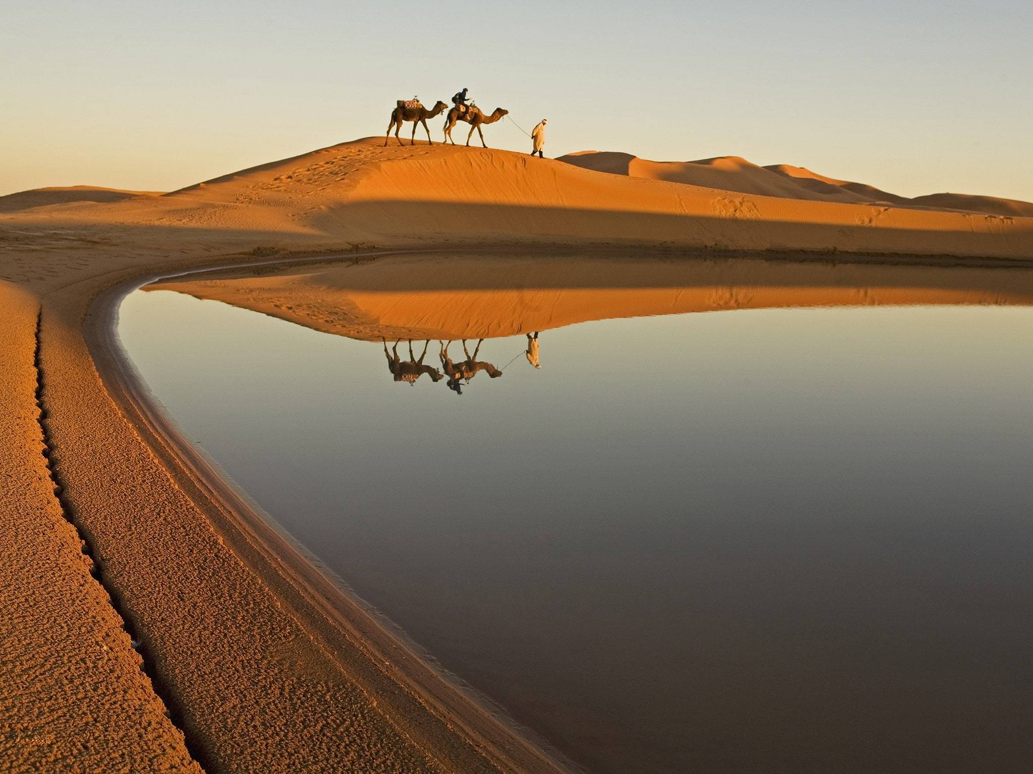 沙漠摄影图片获奖作品图片