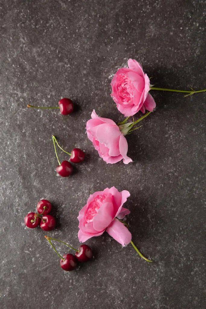 唐朝称樱桃为"含桃","莺所含食,故言含桃".