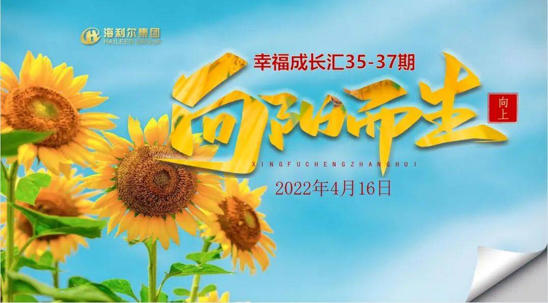 向阳而生海利尔集团3537期幸福成长汇成功举办