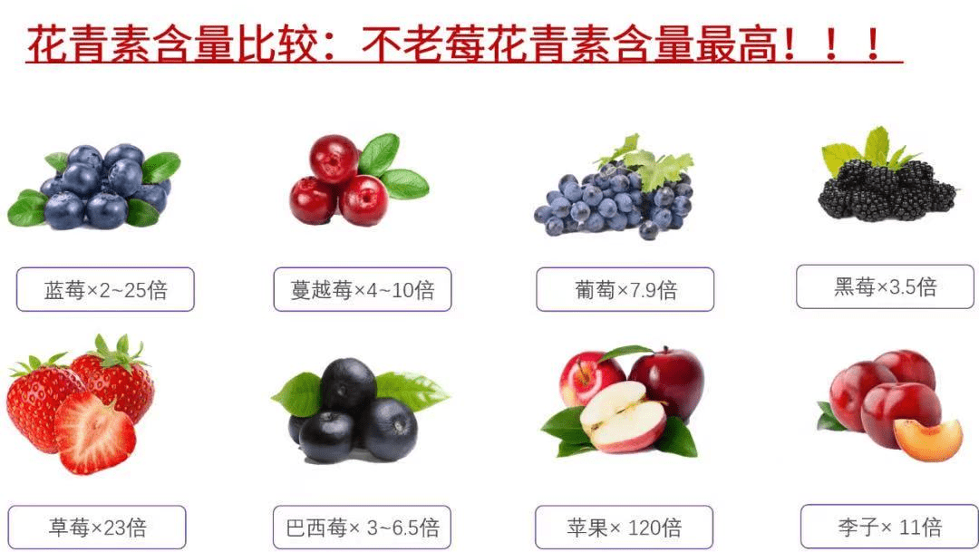 莓中之王-不老莓的自我介绍_物质_花青素_祖先