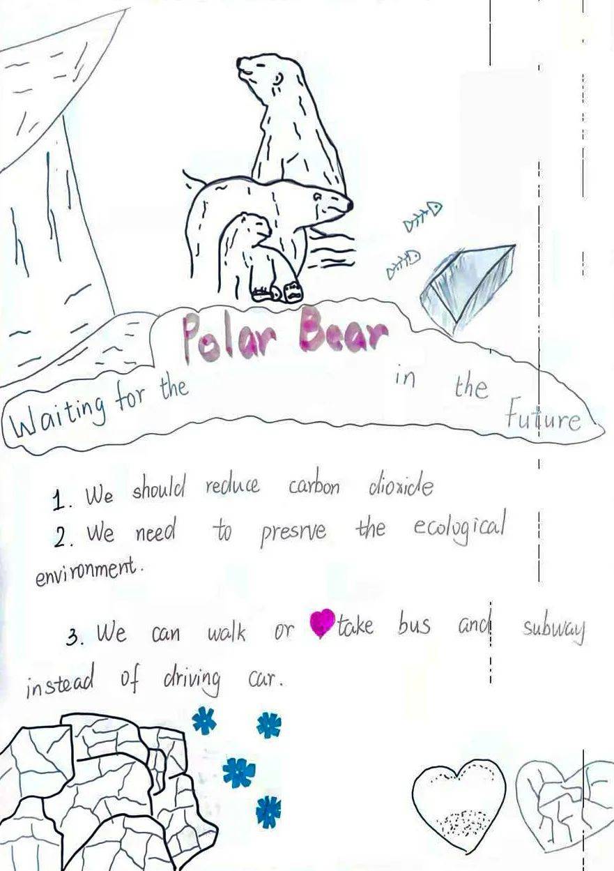 保护地球,我们在行动丨云南长水外国语中学主题手抄报作品展示