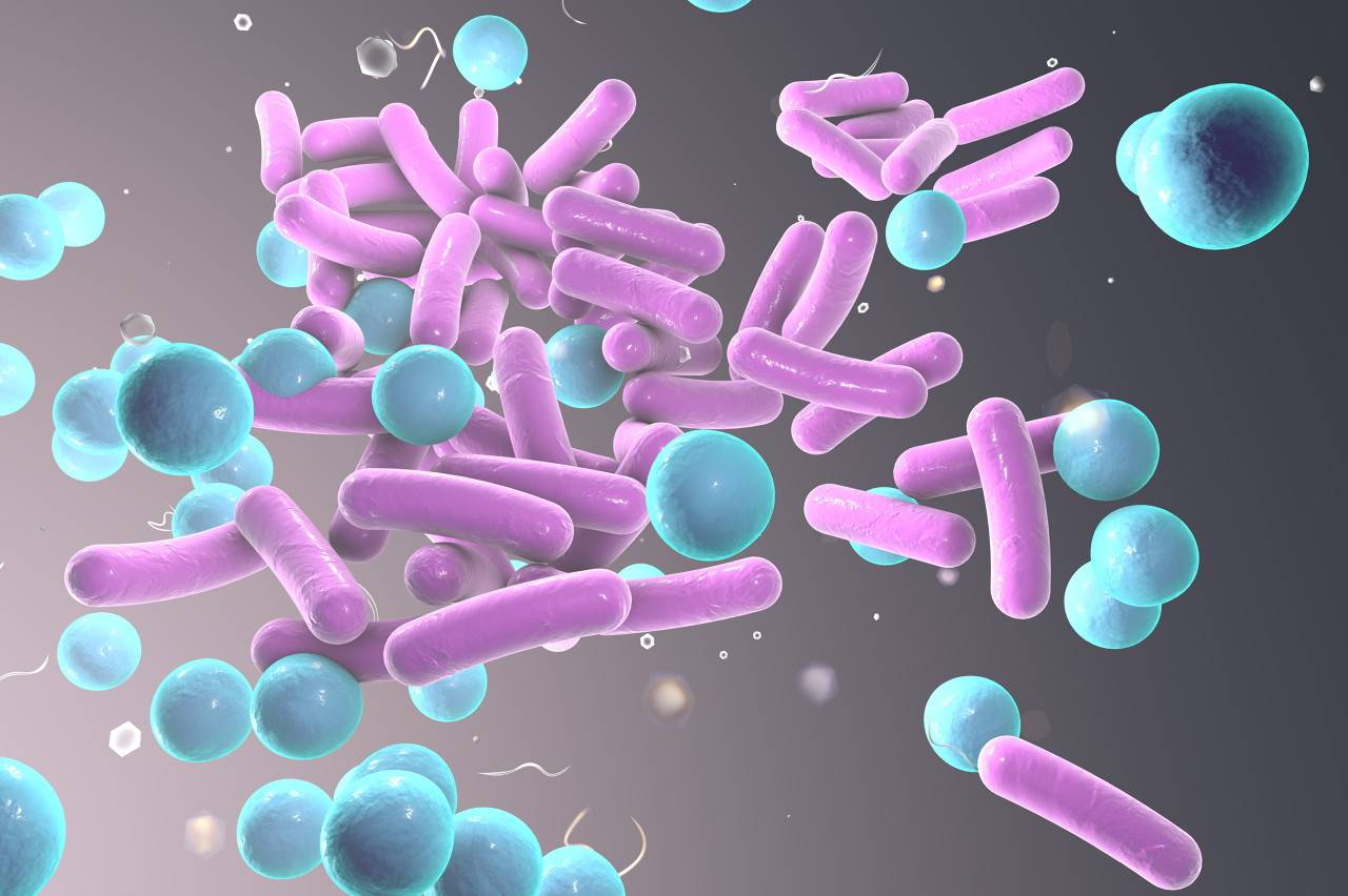 粪菌移植太粗放精准调菌有5招