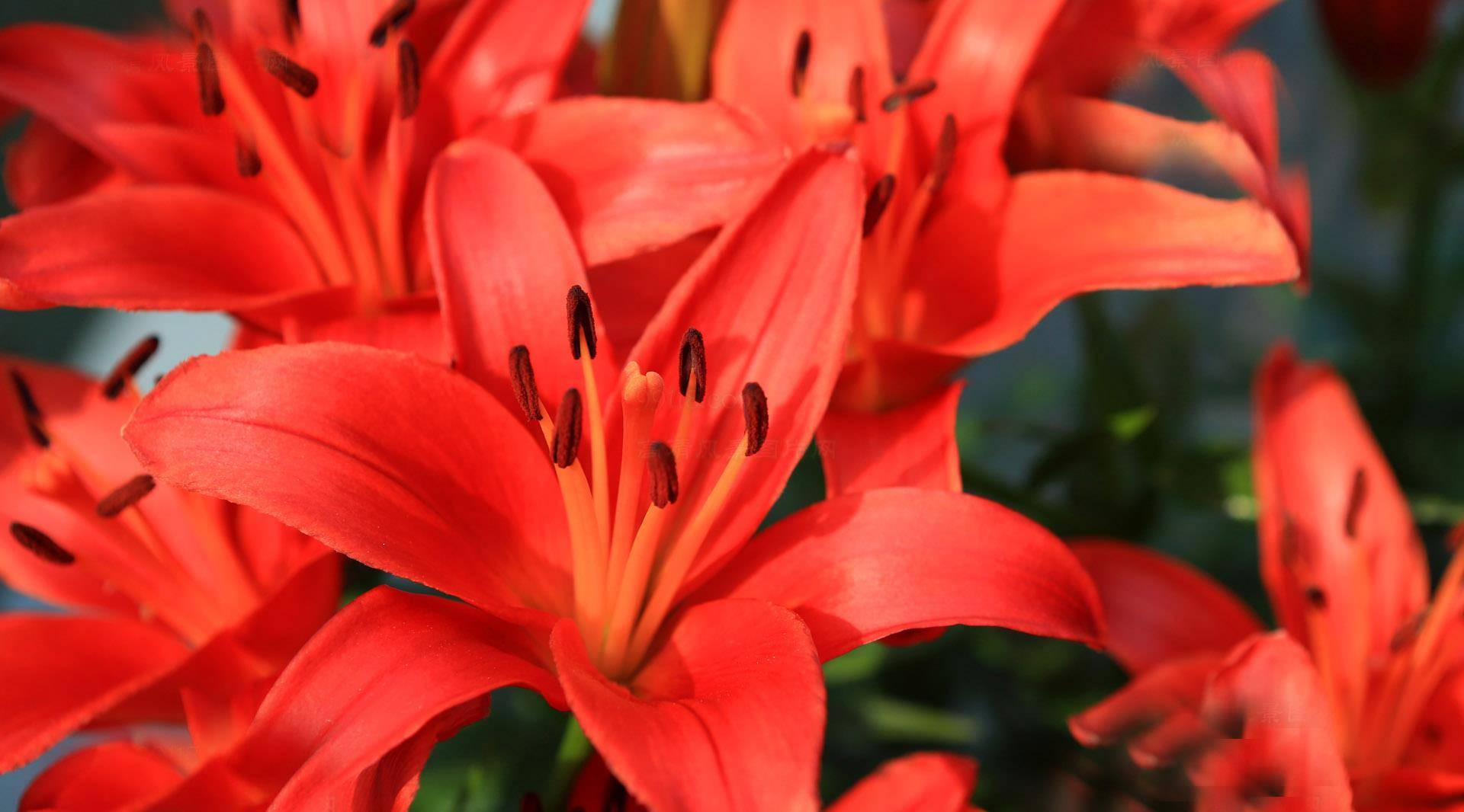 4月22日星座运势 和颜悦色 稳中求胜的四大星座 工作 方面 部署 4月22日星座运势 和颜悦色 稳中求胜的四大星座 工作 方面 部署