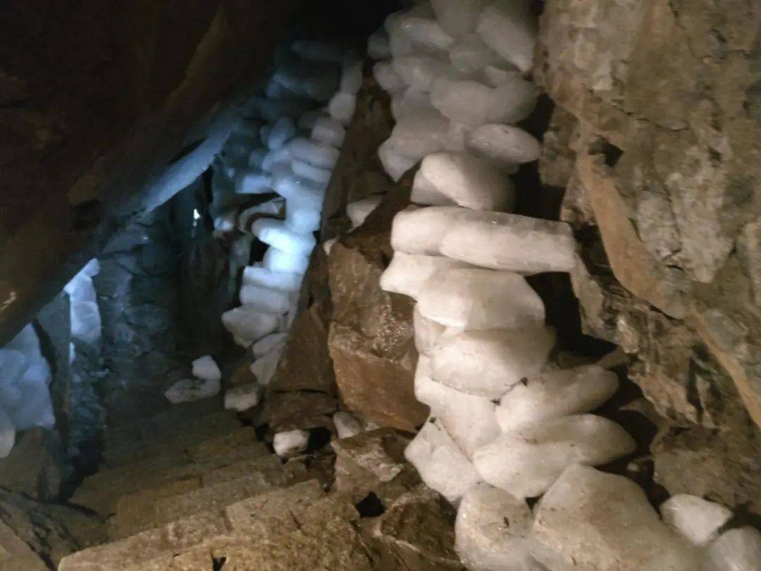 儿时记忆中的翠华山春游必选之地