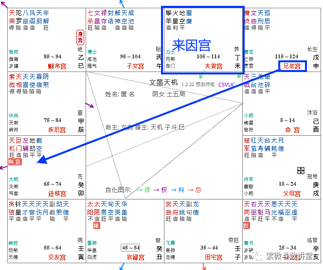 紫微斗數案例小兒麻痺來因宮的應用