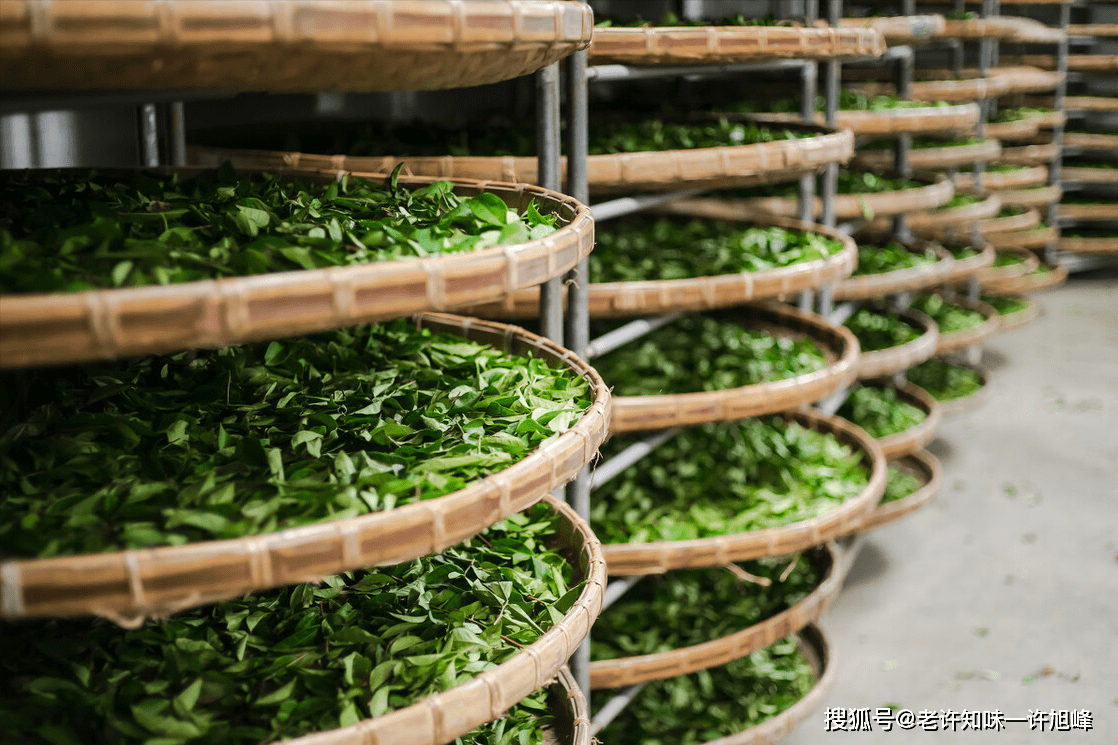 基本上分为做青,杀青和揉捻烘焙三个阶段:做青包括晒青,摇青和凉青