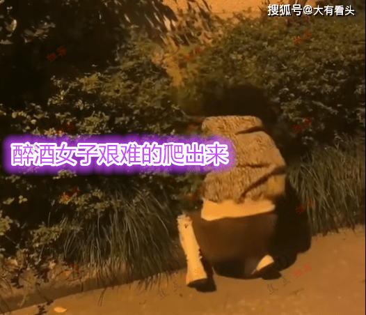 女子深夜醉酒醉倒路边花坛,拒绝路人帮助,网友:幸亏不是我女友