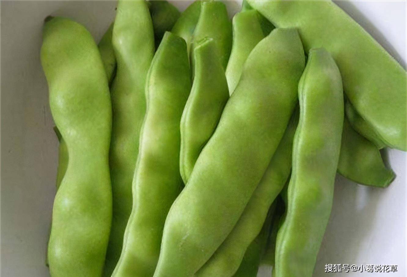 女性不想肚子鼓鼓,平时常吃3种食物,排毒减肥,营养又瘦身_养生_豆角