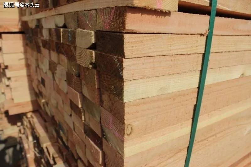 赛博体育澳大利亚：正研发软木和硬木浆来创造新木制品(图1)