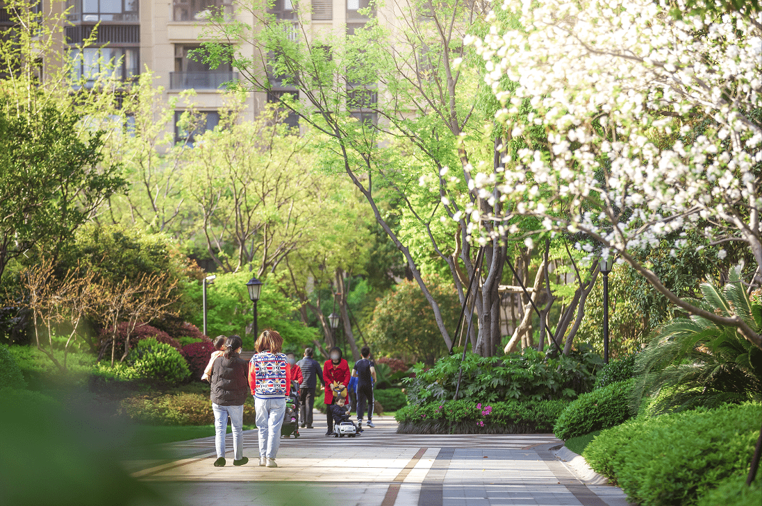 龙湖:"种树公司"做景观的n个细节,真的也是走心了_香樟_植物_小区