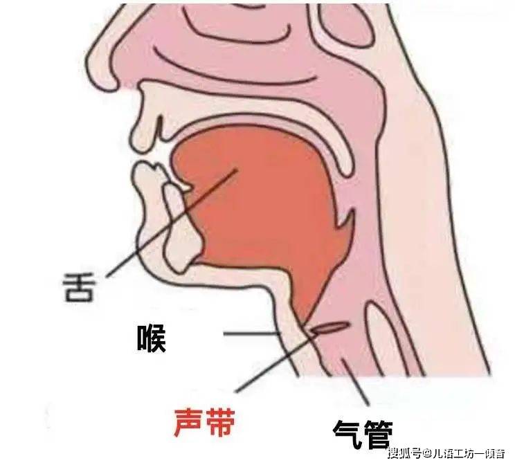 声音是由声带的振动产生的