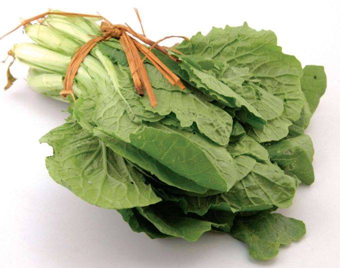 小白菜的饮食宜忌你知道吗?_手机搜狐网