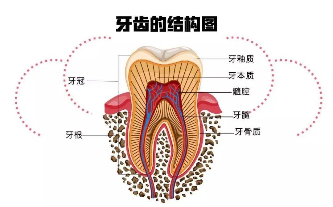 为啥一天刷两次牙,牙齿还是那么黄?