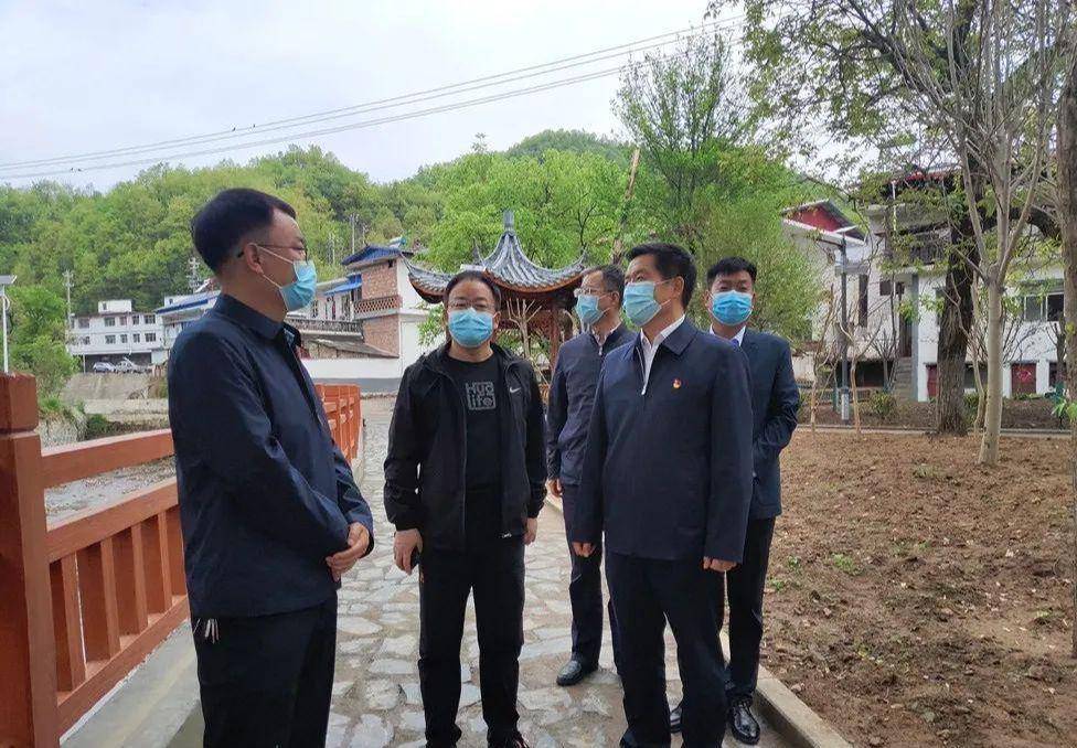 王清华深入卢氏县狮子坪乡调研