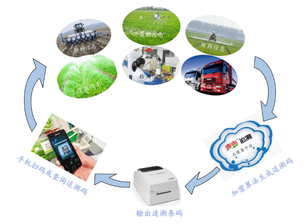 追溯码生成