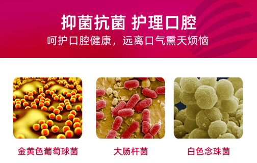 草本口腔抑菌喷雾OEM/ODM，时尚单品市场火爆！ 