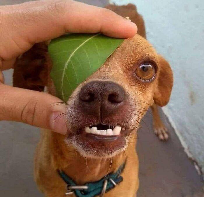 原创让人看一眼就难忘的34张图片喝水的时候千万不要看我怕你笑喷