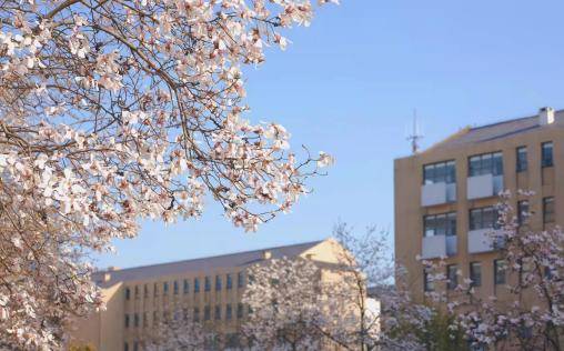 談談中國藥科大學宿舍環境怎麼樣校園環境好不好