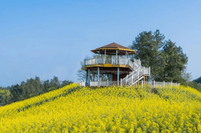 綦江横山归原小镇5 2同城田园度假生活,享受横山花仙谷核心景观,重庆