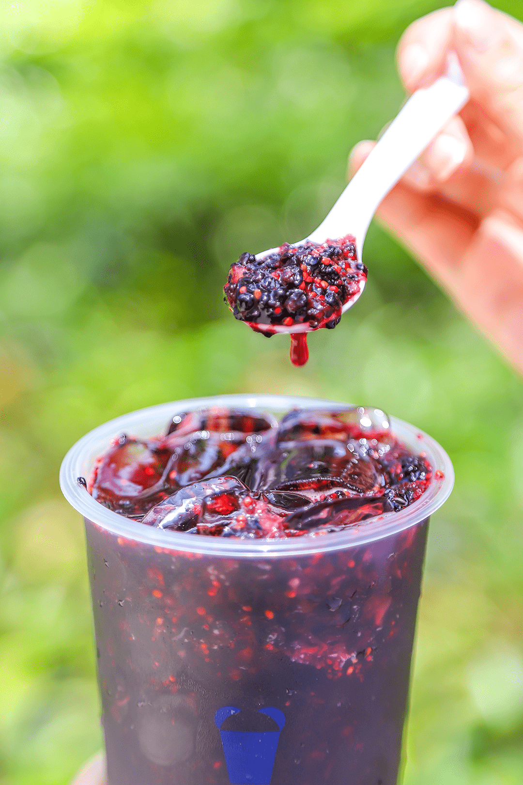 桑葚_茉莉_水蜜桃