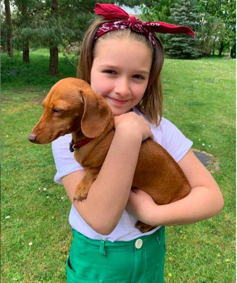 原创贝克汉姆家族最强者8岁贝小七完美示范精致猪猪女孩