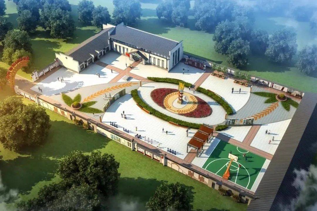 方寸地变增收园桦南县梨树乡稳步推进菜园革命