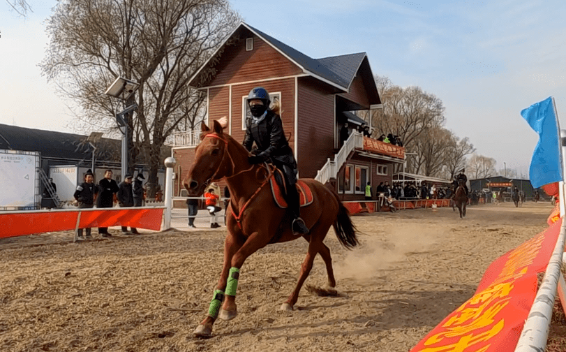 露营马术烧烤晋源花卉小镇五一开园