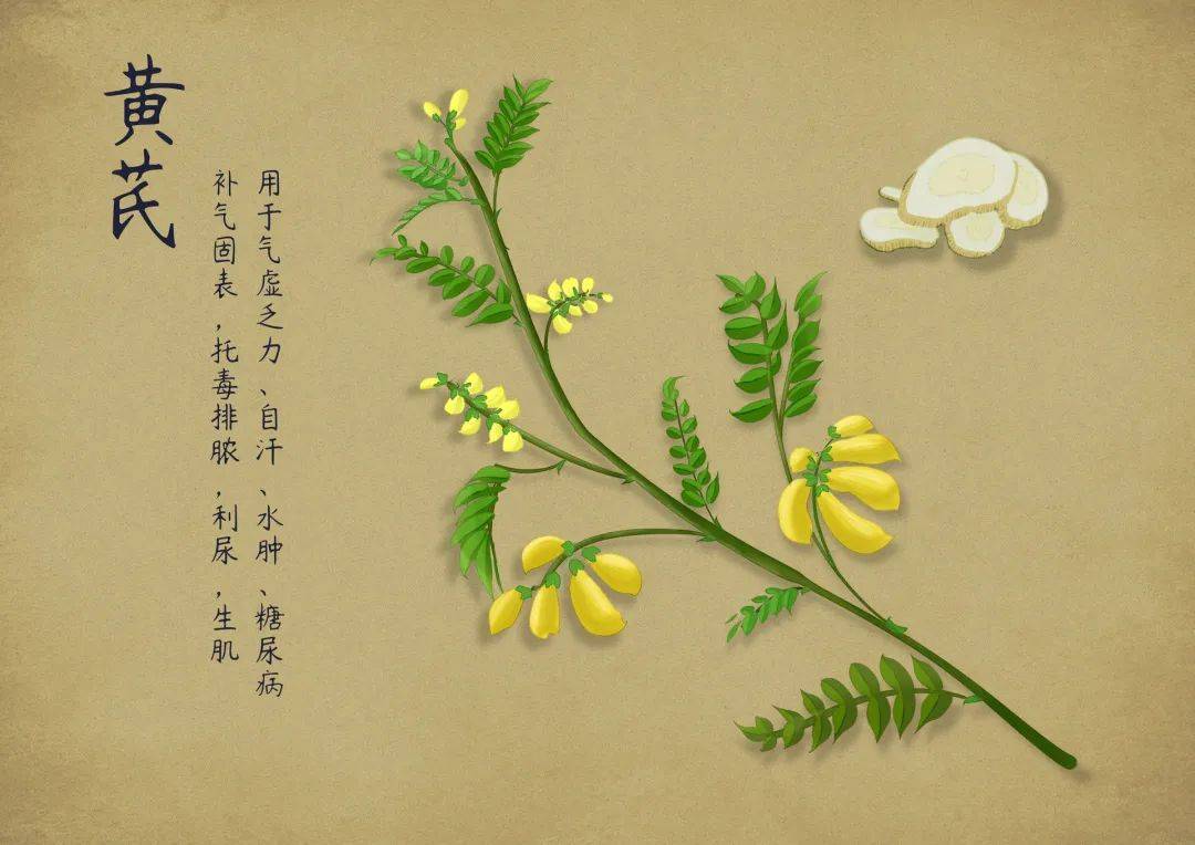 善良的老中医姓戴名糁,善针灸术,为人厚道,待人谦和,一生乐于救助他人