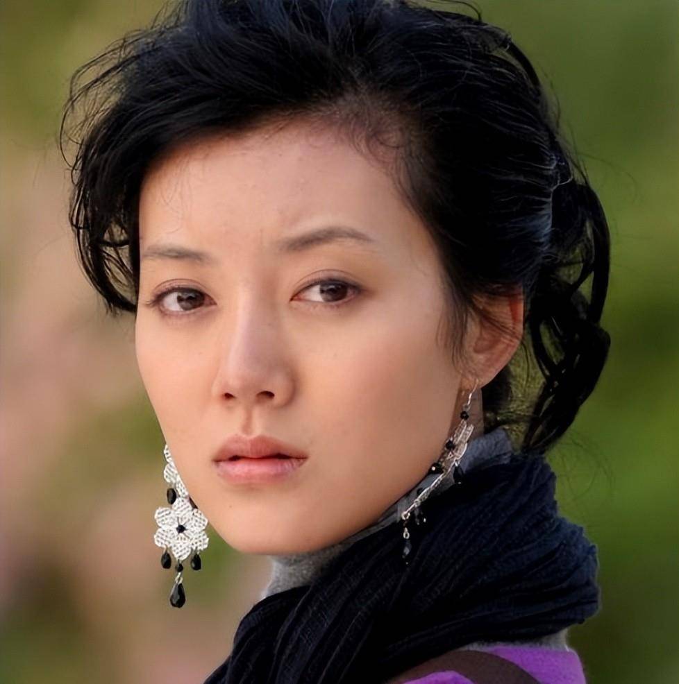 10年后再看车晓和李兆会的离婚,原来他们的爱情,没有那么简单