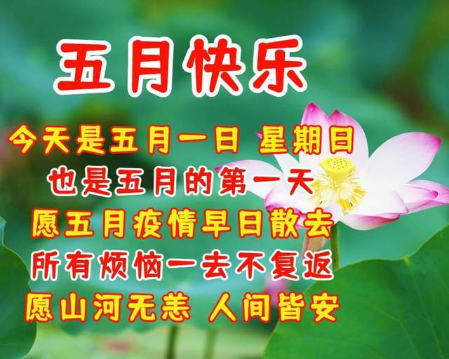 迎接五月你好的祝福语愿你幸福五月快乐