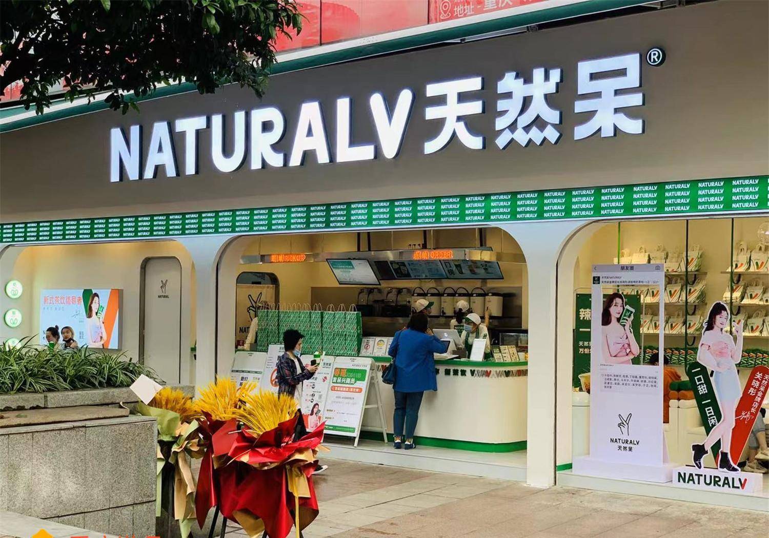 她选择了成本更低,操作起来更简单的奶茶店,奶茶店的名字叫做"天然呆"