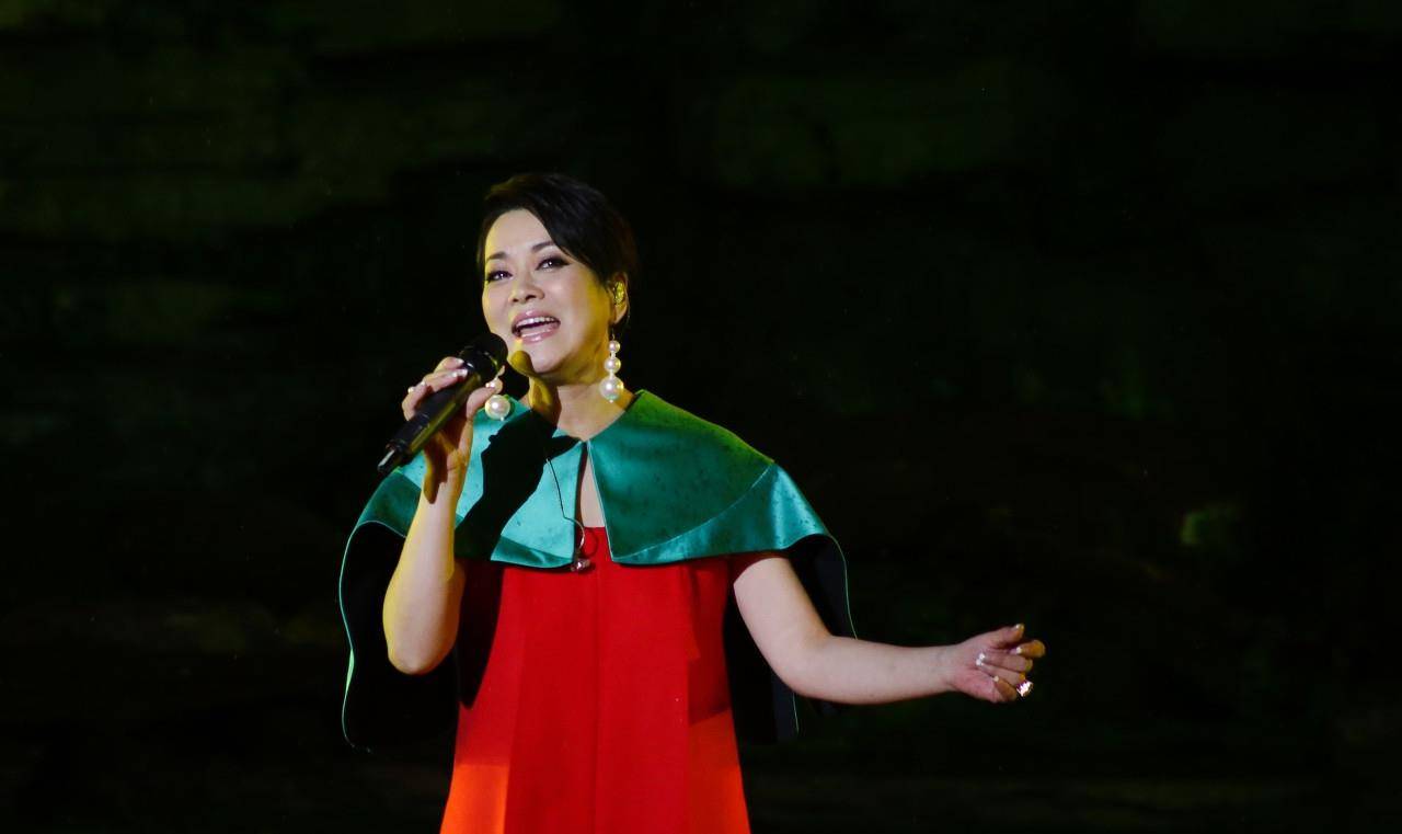 歌手苏红简历图片