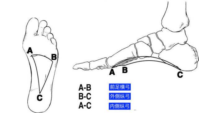 正确的走路脚受力图解图片